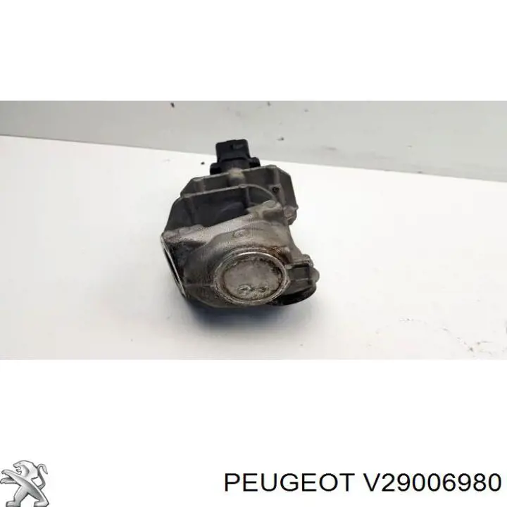 V29006980 Peugeot/Citroen Válvula EGR