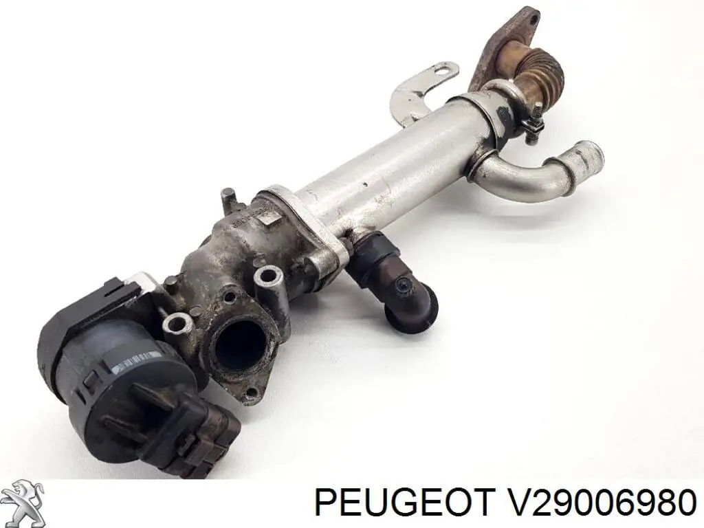 Válvula EGR V29006980 Peugeot/Citroen