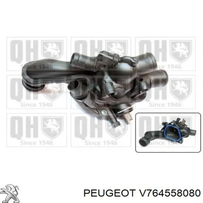Termostato refrigerante Peugeot/Citroen V764558080