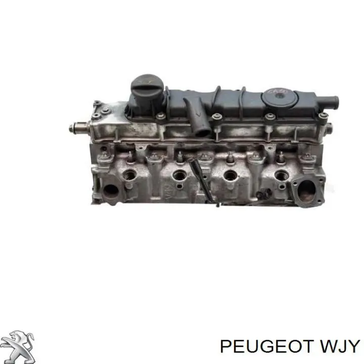 WJY Peugeot/Citroen motor completo