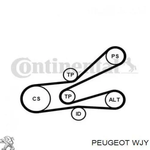 WJY Peugeot/Citroen Motor completo