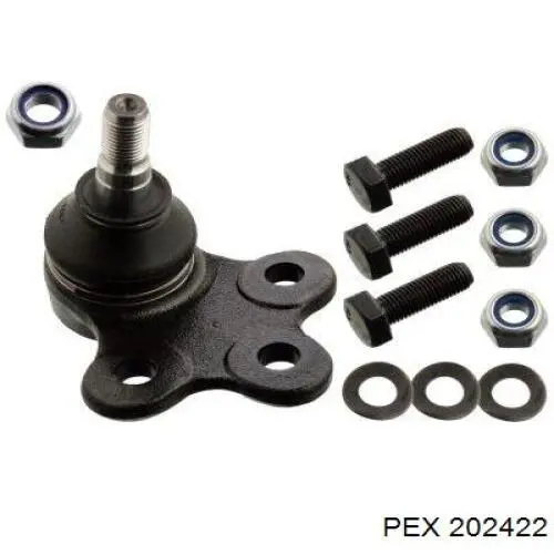 Correa distribucion Nissan Qashqai 1 J10