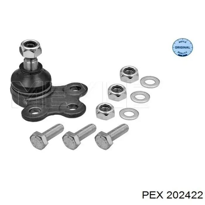 Correa distribucion Nissan Qashqai 1 J10