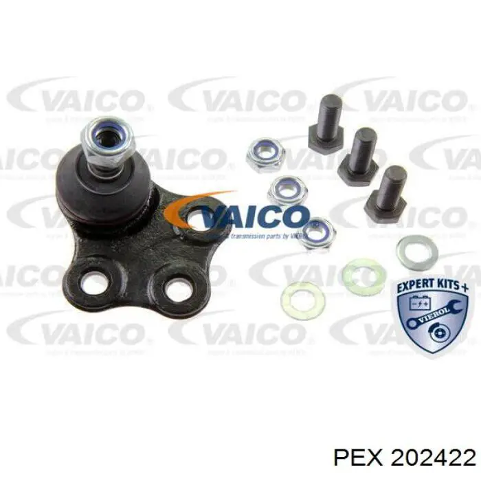 Correa distribucion Nissan Qashqai 1 J10