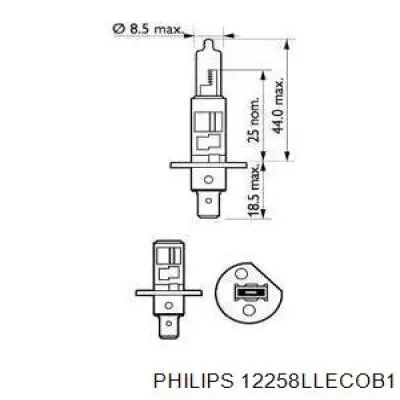 12258LLECOB1 Philips bombilla halógena