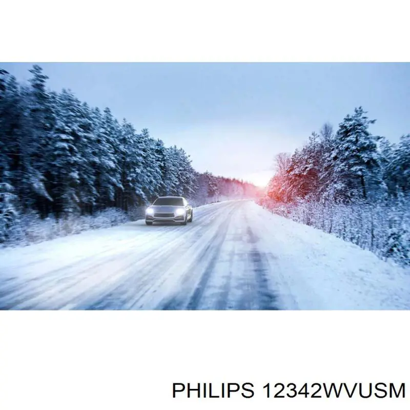 12342WVUSM Philips Lámpara halógena