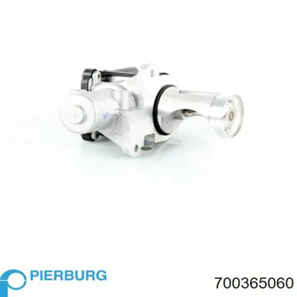 EGR Pierburg 700365060