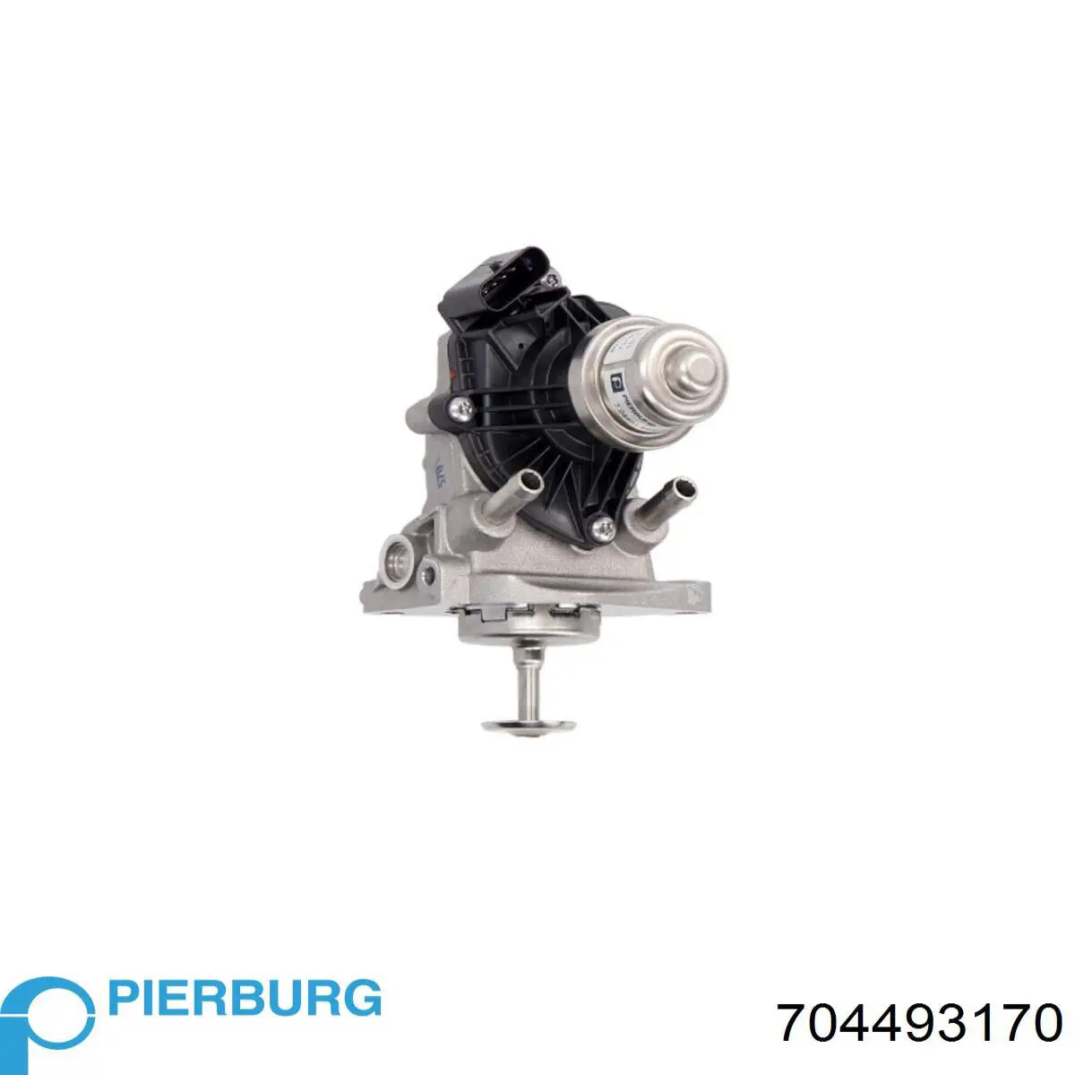 EGR Lucas LEV0949