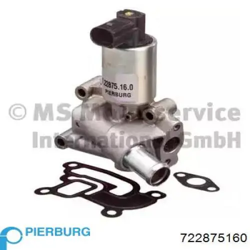Comprar 722875160 Pierburg Válvula EGR