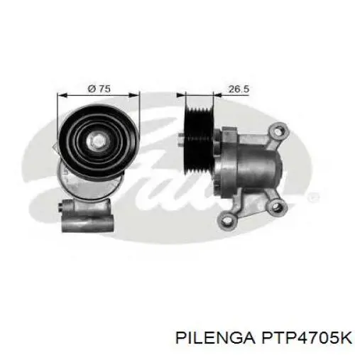 PTP4705K Pilenga tensor de correa, correa poli v