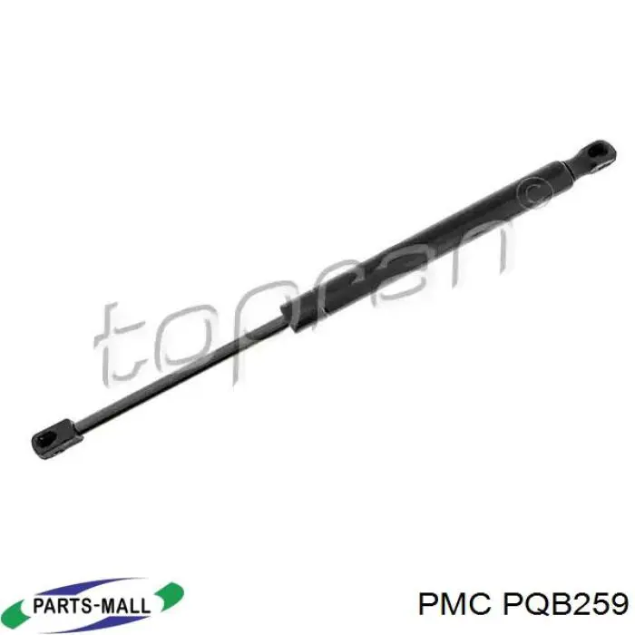 Amortiguador maletero GS0789 Magneti Marelli