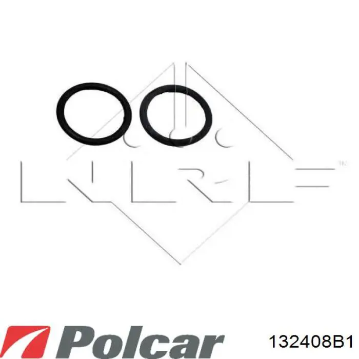 Radiador de água Polcar 1324081