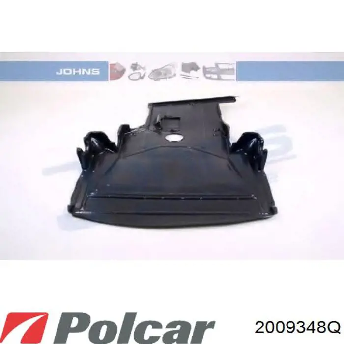 2009348Q Polcar