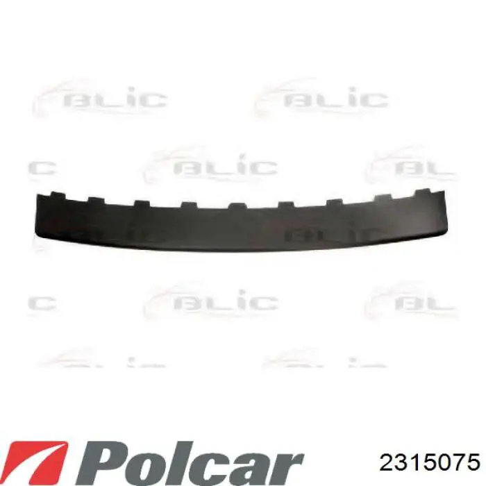 Moldura de paragolpes delantero izquierdo Citroen C3 1 (FC)