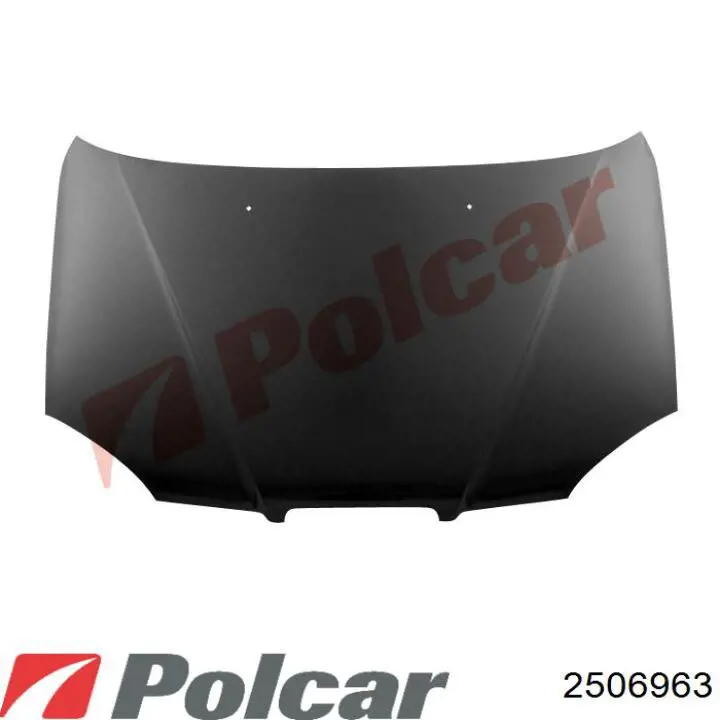 Refuerzo de parachoques trasero Polcar 2506963 precio, desde 33,27 EUR