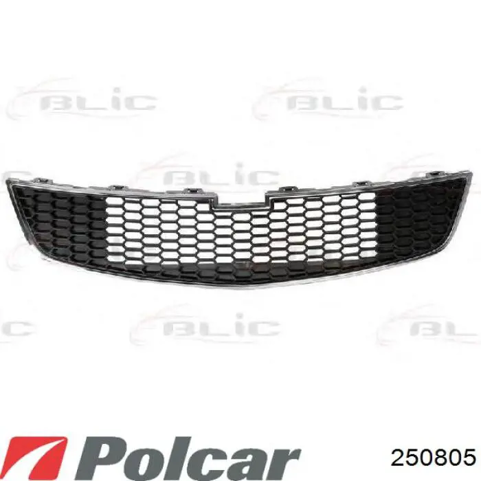 250805 Polcar parrilla