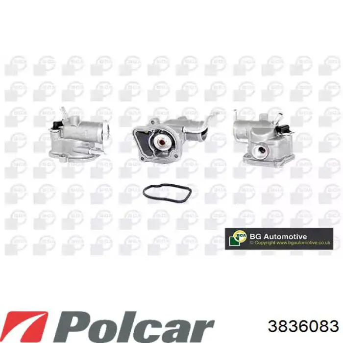 383608-3 Polcar radiador refrigeración del motor