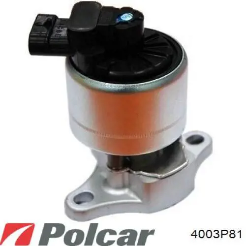 4003P81 Polcar