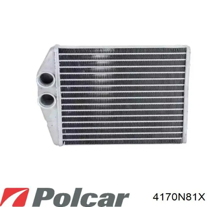 4170N81X Polcar