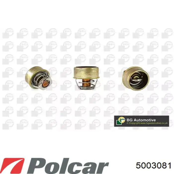 5003081 Polcar radiador refrigeración del motor