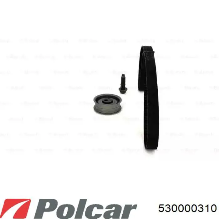 530 0003 10 Polcar kit correa de distribución