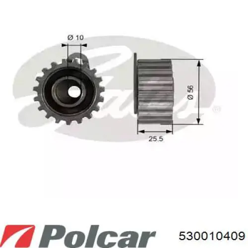 530010409 Polcar kit correa de distribución