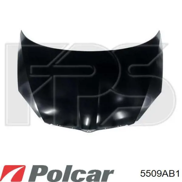 Amortiguador de maletero Doga 2029013 precio, desde 12,55 EUR
