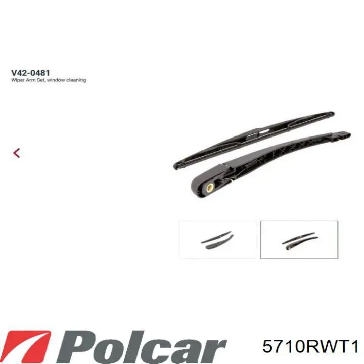 5710RWT1 Polcar Brazo del limpiaparabrisas, luna trasera