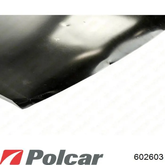 Nissan Primastar X83