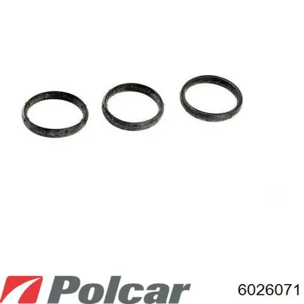 Paragolpes 6026071 Polcar