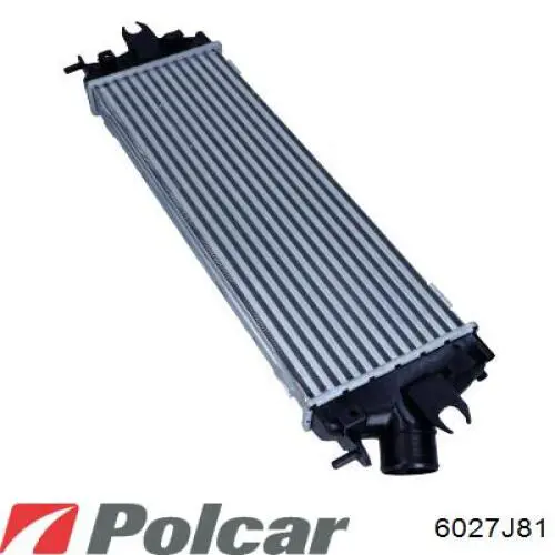 Intercooler 187024N Dasis