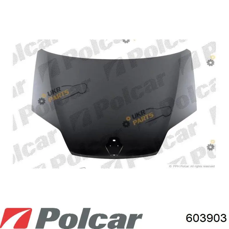 Comprar 4474000 Diederichs Capó