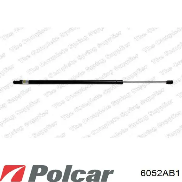Comprar 8200021975 Renault (RVI) Amortiguador de puerta trasera