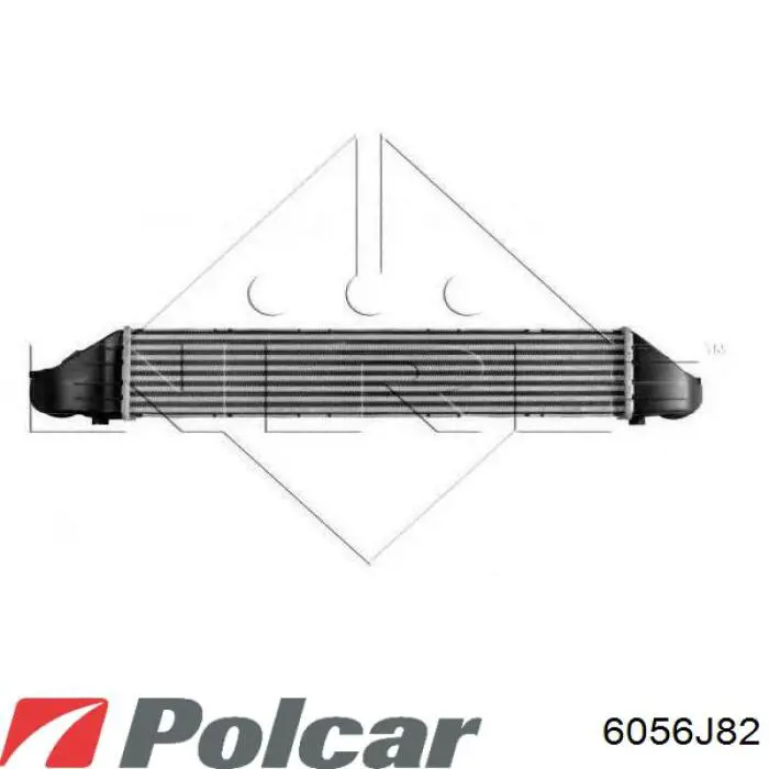 Enfriador de aire de admisión Renault (RVI) 8200471885A