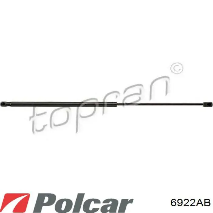 Amortiguador maletero 6922AB Polcar