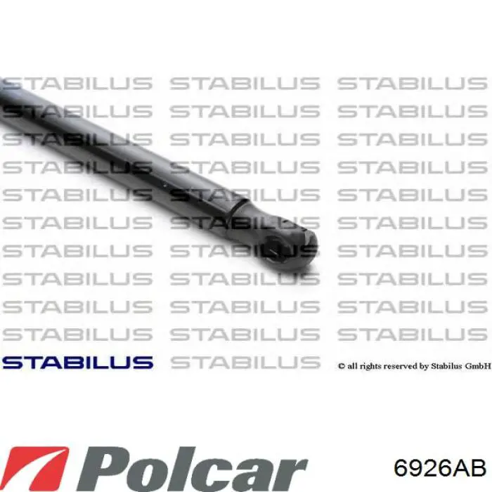 Muelle neumatico maletero Swag 30931659