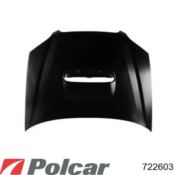 Capot para Subaru Outback (BP)