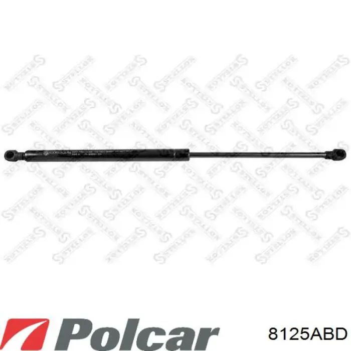 Amortiguador maletero 8125ABD Polcar