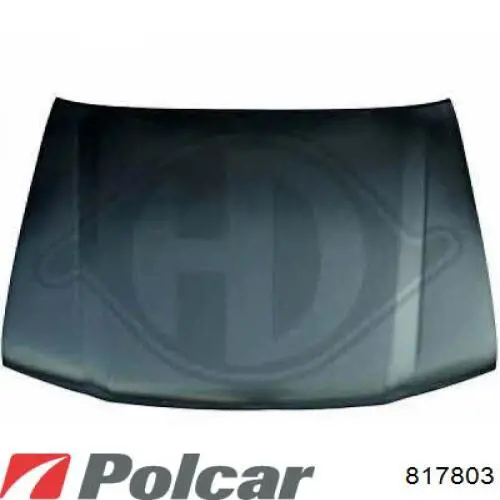 Capot para Toyota Land Cruiser PRADO ASIA (J12)