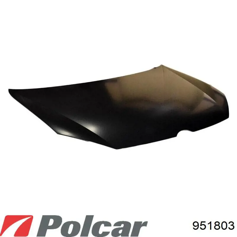 951803 Polcar Capó delantero