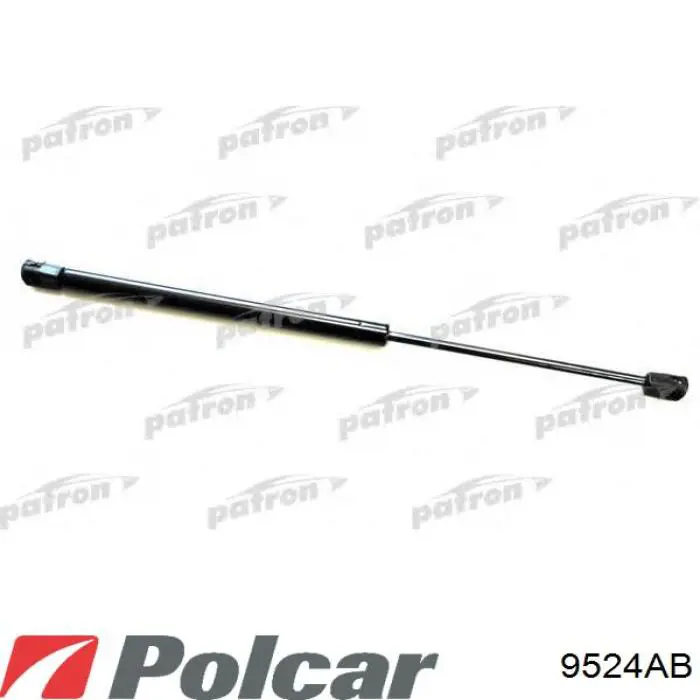 Comprar 2032973 Doga Amortiguador de puerta trasera