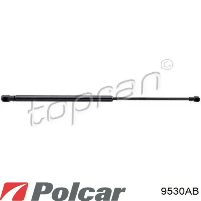 Amortiguador de maletero Monroe ML5796 precio, desde 18,71 EUR
