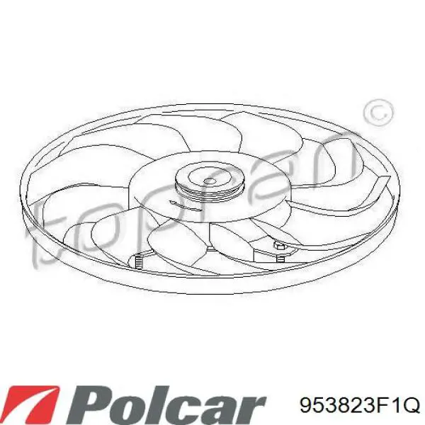 953823F1Q Polcar