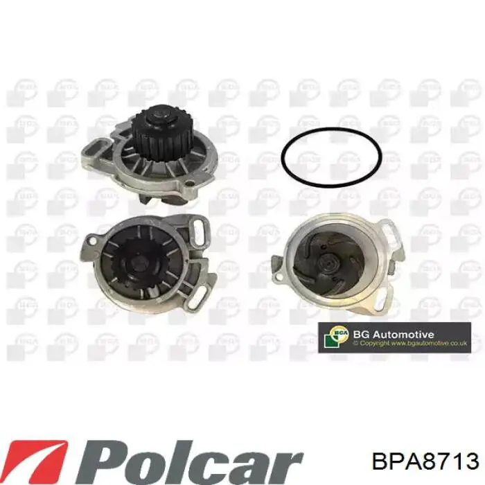 BPA8713 Polcar