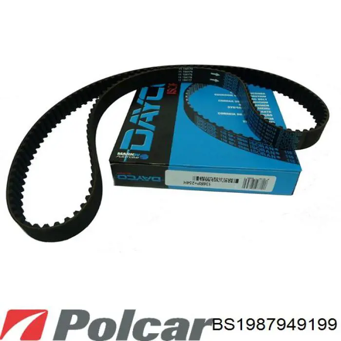 BS1987949199 Polcar Correa dentada