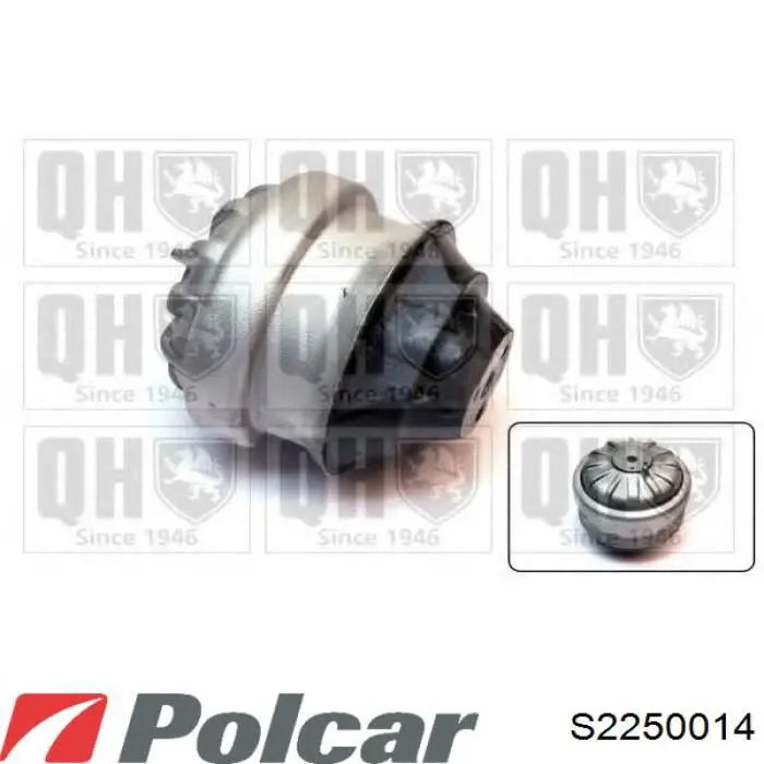 S2250014 Polcar almoahada (soporte Del Motor Izquierda / Derecha)