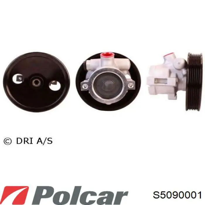 S5090001 Polcar bomba hidráulica de dirección