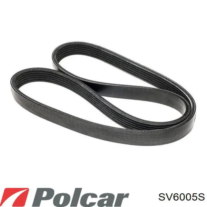 Embrague viscoso de ventilador SV6005S Polcar
