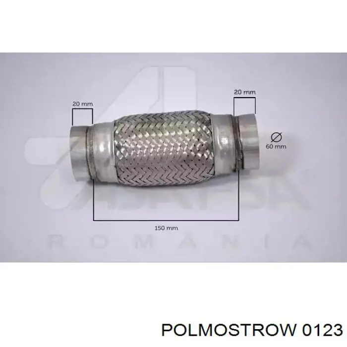 0123 Polmostrow silenciador posterior