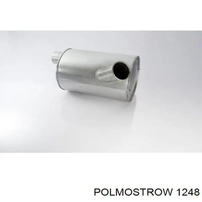 Catalizador Polmostrow 1248 precio, desde 163,24 EUR